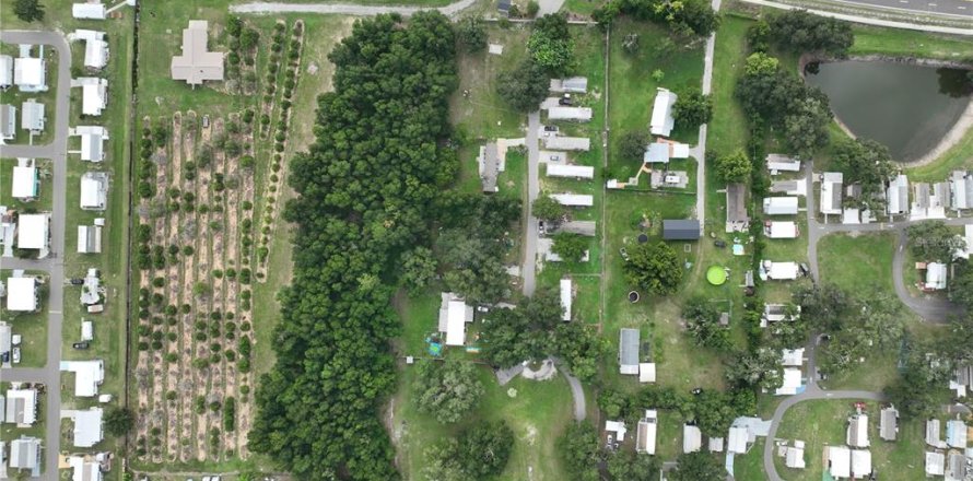 Immobilier commercial à Dade City, Floride 929.02 m2 № 2222684