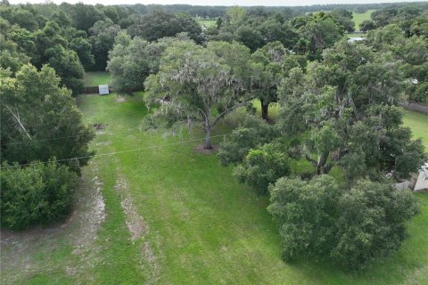 Immobilier commercial à vendre à Dade City, Floride: 929.02 m2 № 2222684 - photo 9