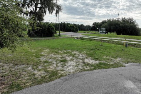 Immobilier commercial à vendre à Dade City, Floride: 929.02 m2 № 2222684 - photo 18