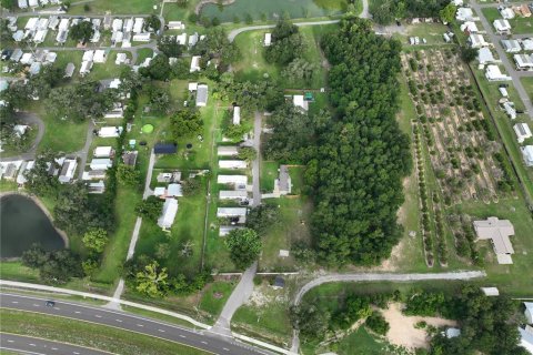 Immobilier commercial à vendre à Dade City, Floride: 929.02 m2 № 2222684 - photo 23