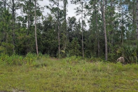 Terreno en venta en Indian lake estates, Florida № 1916727 - foto 2