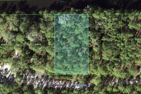 Terreno en venta en Indian lake estates, Florida № 1916727 - foto 3