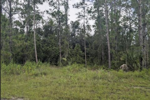 Terreno en venta en Indian lake estates, Florida № 1916727 - foto 5