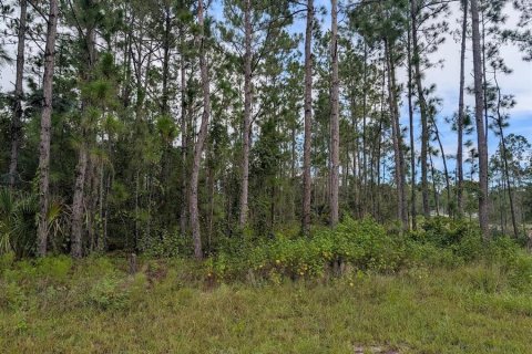 Terreno en venta en Indian lake estates, Florida № 1916727 - foto 1