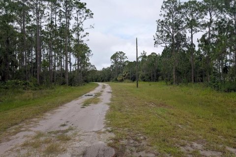 Terreno en venta en Indian lake estates, Florida № 1916727 - foto 6