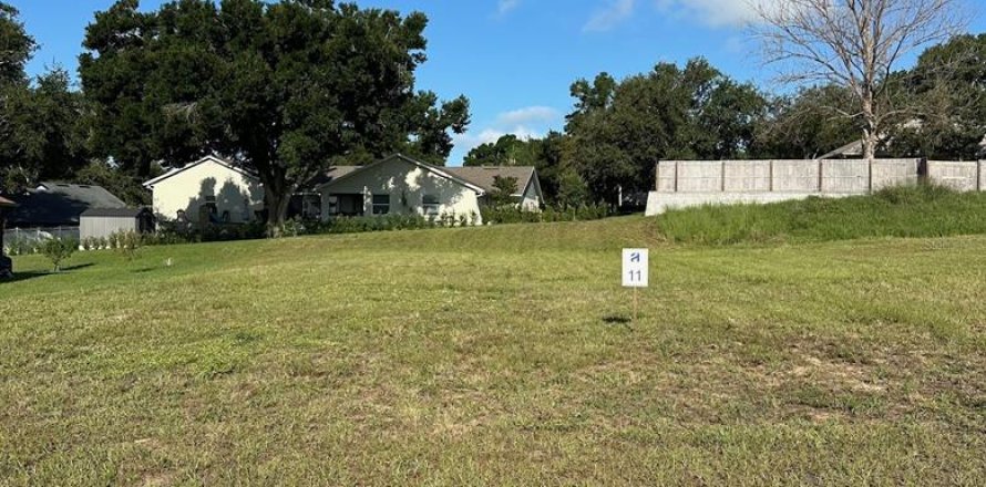 Land in Clermont, Florida № 2106104