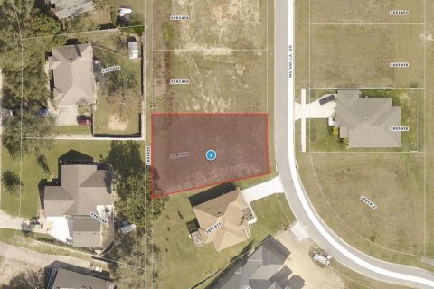 Land in Clermont, Florida № 2106104 - photo 2