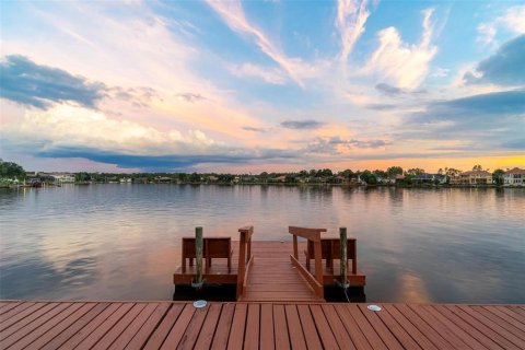 Купить виллу или дом в Тампа, Флорида 8 комнат, 344.57м2, № 1907707 - фото 8