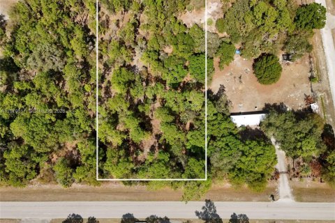 Land in Clewiston, Florida № 2174579