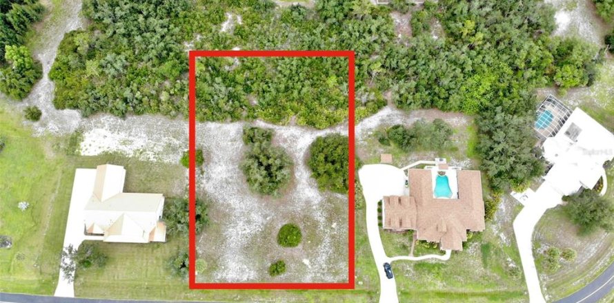 Terrain à Punta Gorda, Floride № 2231447