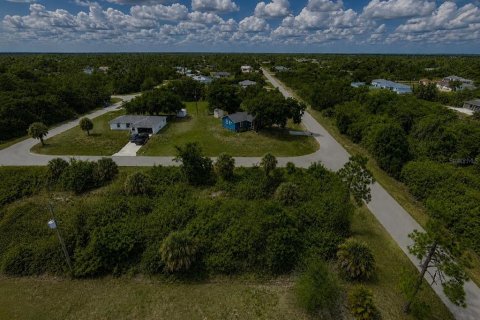 Land in Port Charlotte, Florida № 2212915