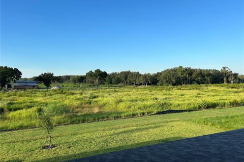 House in Fish Hawk, Florida 5 bedrooms, 335.01 sq.m. № 1908812 - photo 26