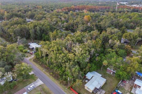 Land in Crystal River, Florida № 2161840 - photo 16