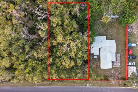 Land in Crystal River, Florida № 2161840 - photo 17