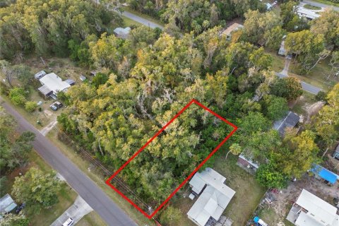 Land in Crystal River, Florida № 2161840 - photo 10
