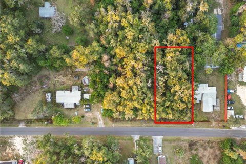 Land in Crystal River, Florida № 2161840 - photo 5