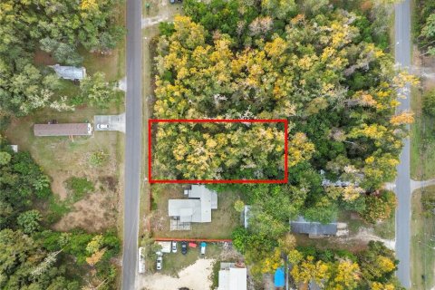 Land in Crystal River, Florida № 2161840 - photo 8