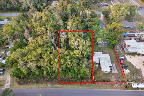 Land in Crystal River, Florida № 2161840 - photo 18