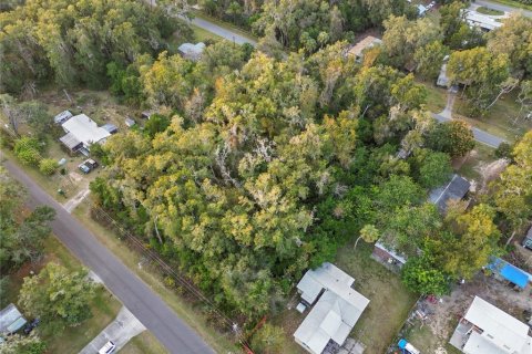Land in Crystal River, Florida № 2161840 - photo 9