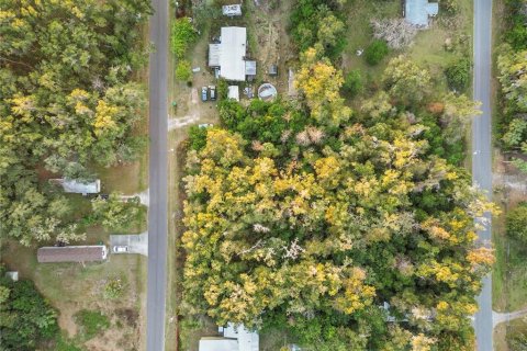 Land in Crystal River, Florida № 2161840 - photo 6