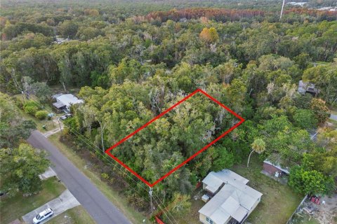Land in Crystal River, Florida № 2161840