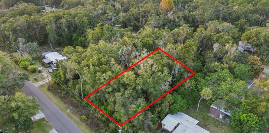 Land in Crystal River, Florida № 2161840