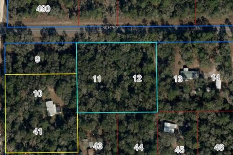 Land in Bronson, Florida № 1858052 - photo 1