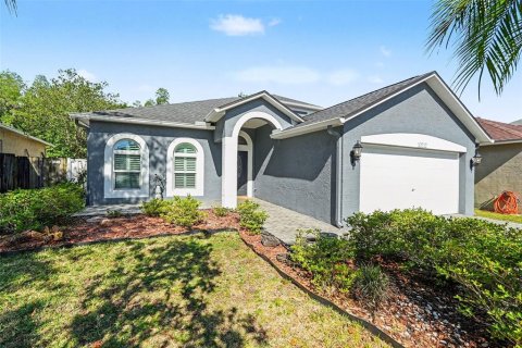 House in Tampa, Florida 5 bedrooms, 227.61 sq.m. № 2151152
