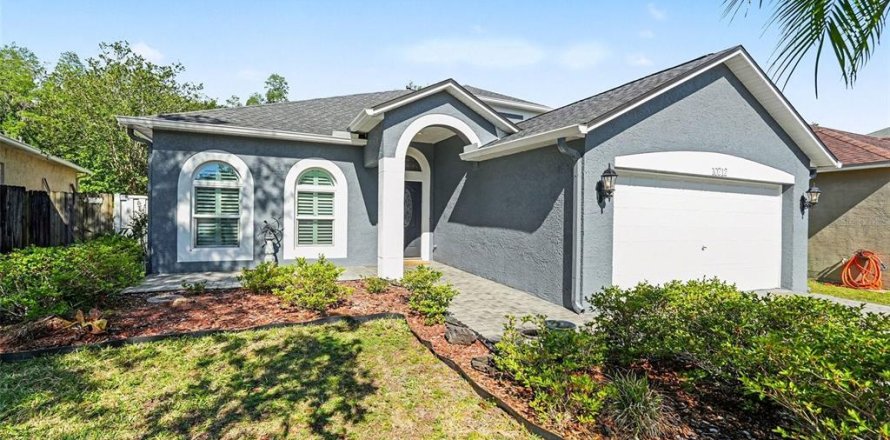 House in Tampa, Florida 5 bedrooms, 227.61 sq.m. № 2151152