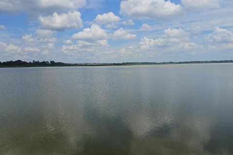 Land in Lake Alfred, Florida № 2375573 - photo 18