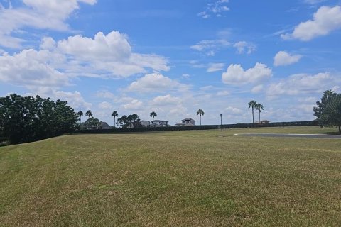 Land in Lake Alfred, Florida № 2375573 - photo 5