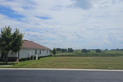 Land in Lake Alfred, Florida № 2375573 - photo 2
