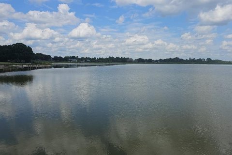 Land in Lake Alfred, Florida № 2375573 - photo 19