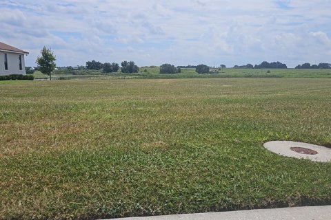 Land in Lake Alfred, Florida № 2375573 - photo 4