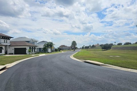 Land in Lake Alfred, Florida № 2375573 - photo 15
