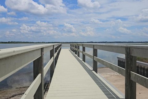 Land in Lake Alfred, Florida № 2375573 - photo 10