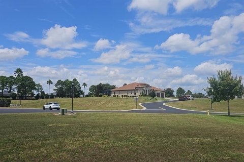 Land in Lake Alfred, Florida № 2375573 - photo 6
