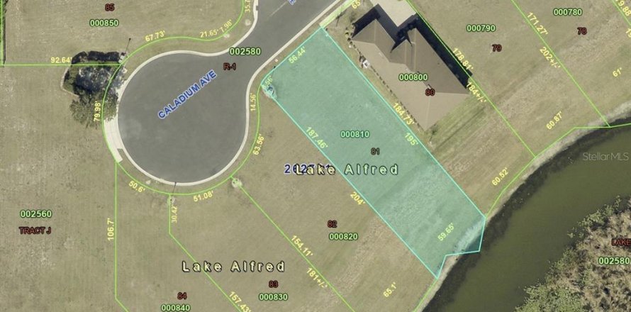 Land in Lake Alfred, Florida № 2375573