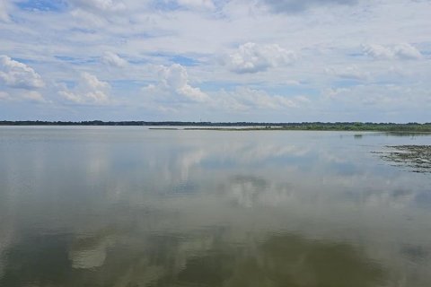 Land in Lake Alfred, Florida № 2375573 - photo 17