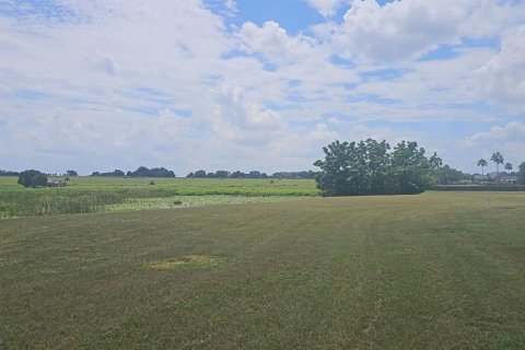 Land in Lake Alfred, Florida № 2375573 - photo 7