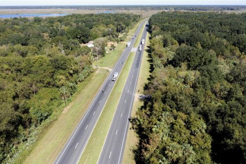 Land in Citra, Florida № 1812963 - photo 10