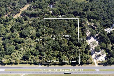 Land in Citra, Florida № 1812963 - photo 1