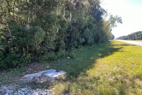 Land in Citra, Florida № 1812963 - photo 7