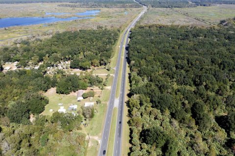 Land in Citra, Florida № 1812963 - photo 8