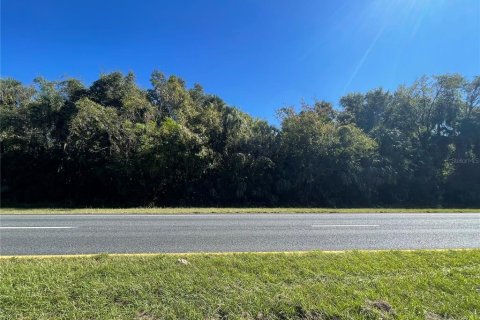 Land in Citra, Florida № 1812963 - photo 3
