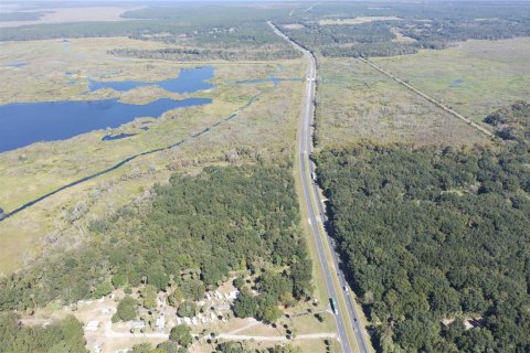 Land in Citra, Florida № 1812963 - photo 5