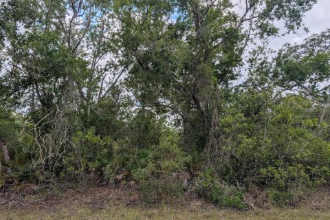 Land in Indian lake estates, Florida № 2159282