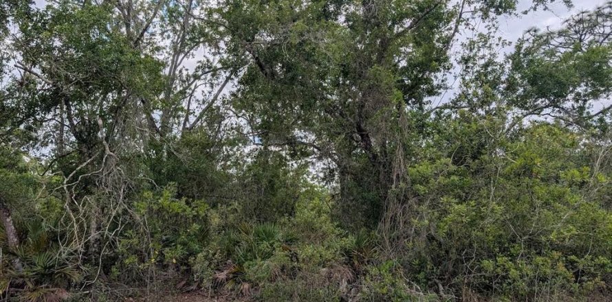 Land in Indian lake estates, Florida № 2159282