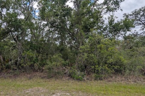 Land in Indian lake estates, Florida № 2159282 - photo 5