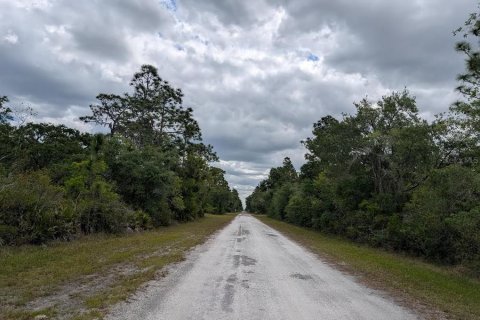 Land in Indian lake estates, Florida № 2159282 - photo 6